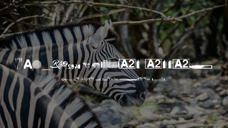 R74_Dingbat attak Font