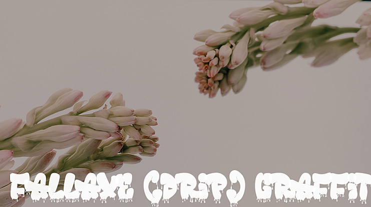 Fallaxe (Drip) Graffiti Font Family