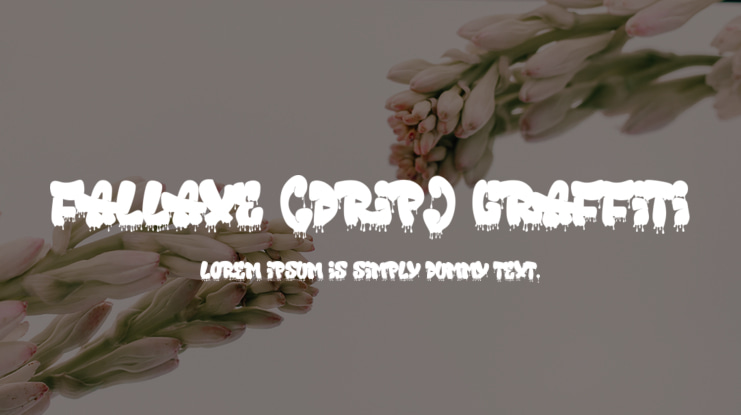 Fallaxe (Drip) Graffiti Font Family