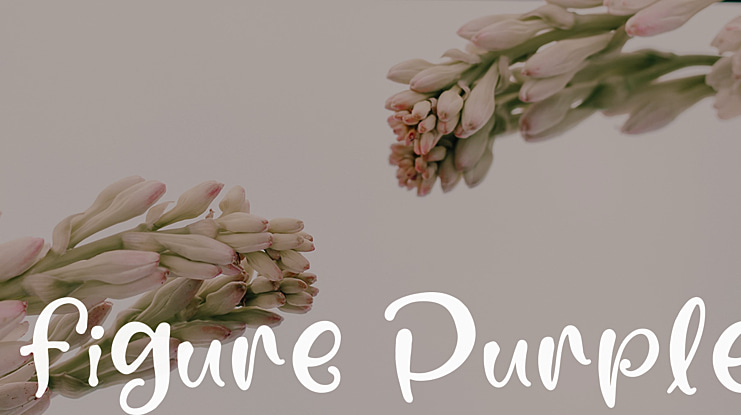 figure Purple Font