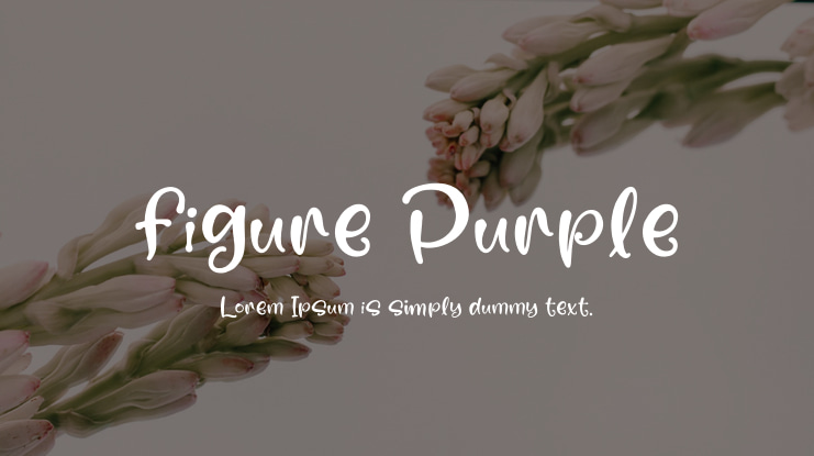 figure Purple Font