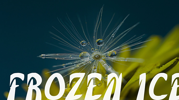 FROZEN ICE Font Family