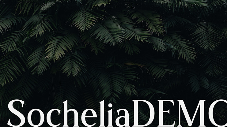 SocheliaDEMO Font