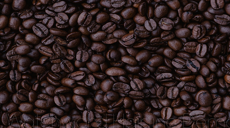 Watchword  Demo Font Family