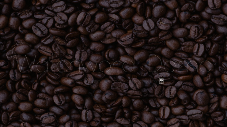 Watchword  Demo Font Family