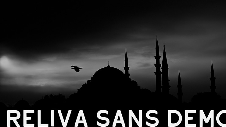 Reliva Sans DEMO Font