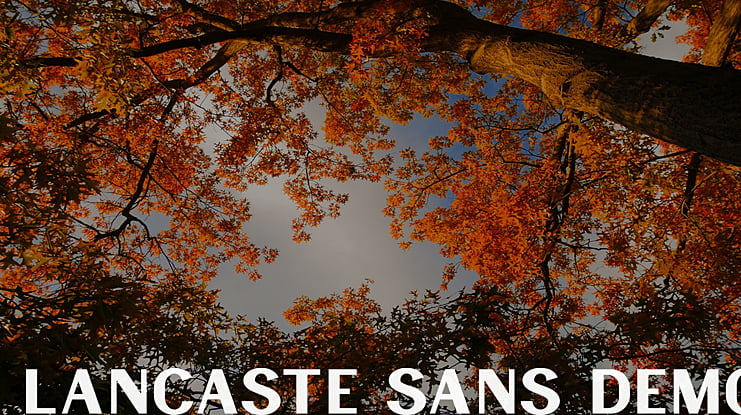 Lancaste Sans Demo Font Family