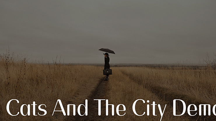 Cats And The City Demo Font