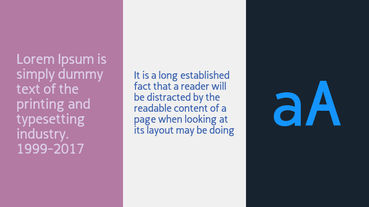 Cicero Sans Negrita Font