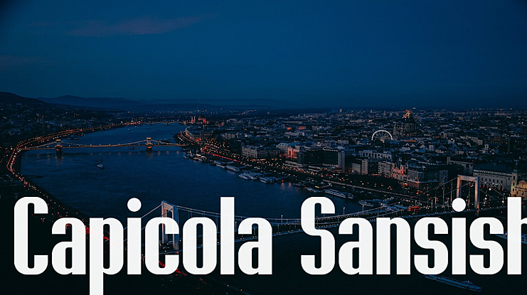 Capicola Sansish Font Family