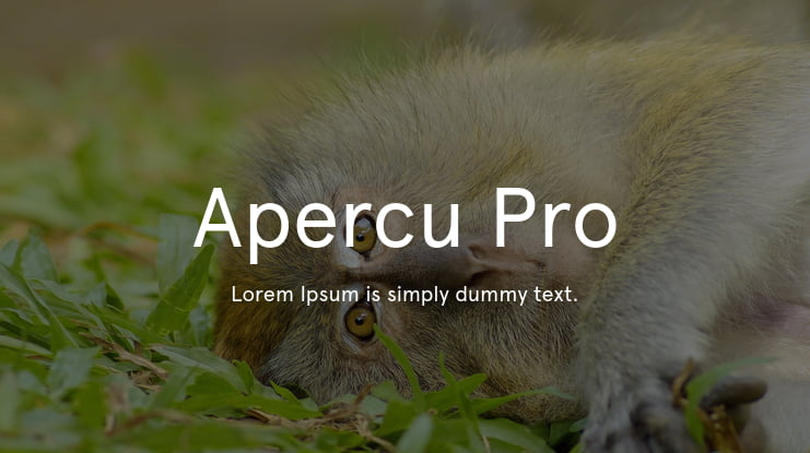 Apercu Pro Font Family