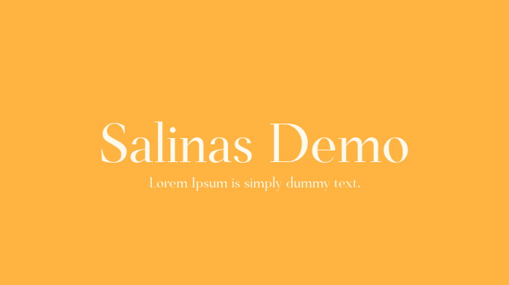 Salinas Demo Font