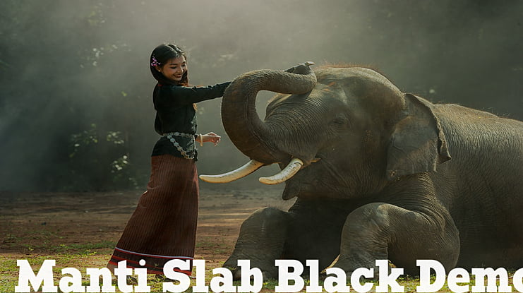 Manti Slab Black Demo Font Family