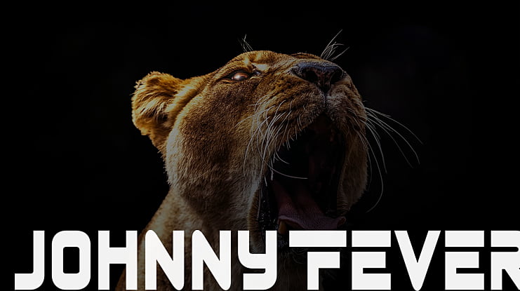 Johnny Fever Font