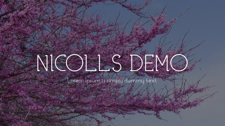 NICOLLS DEMO Font Family