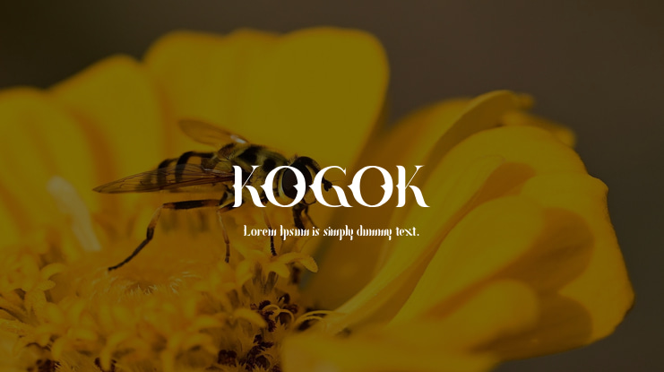 KOGOK Font