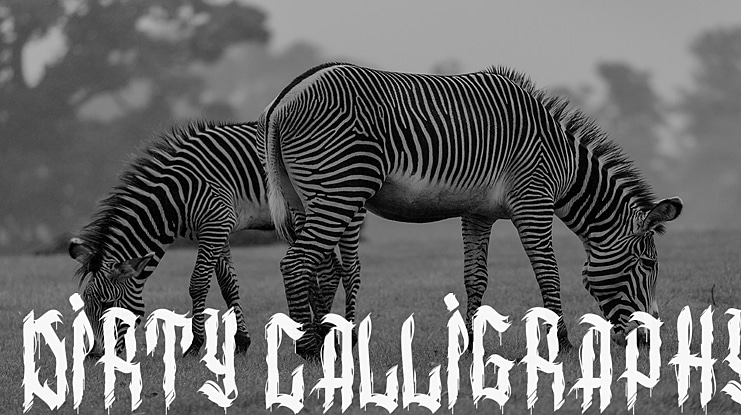 dirty calligraphy Font