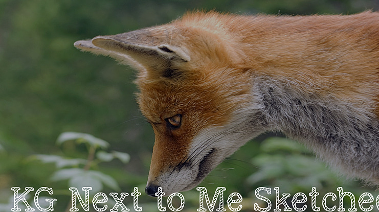 KG Next to Me Sketched Font Family
