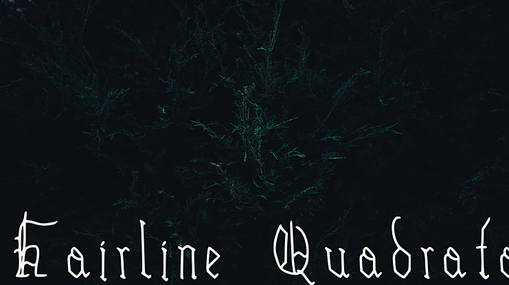 Hairline Quadrata Font