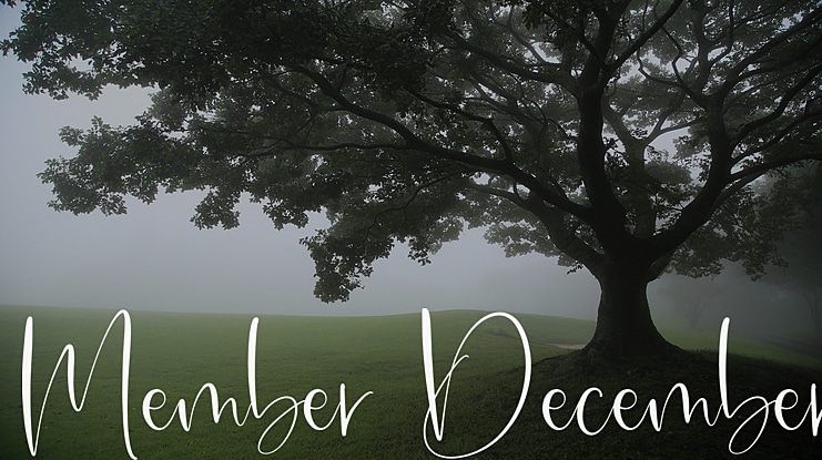 Member December Font