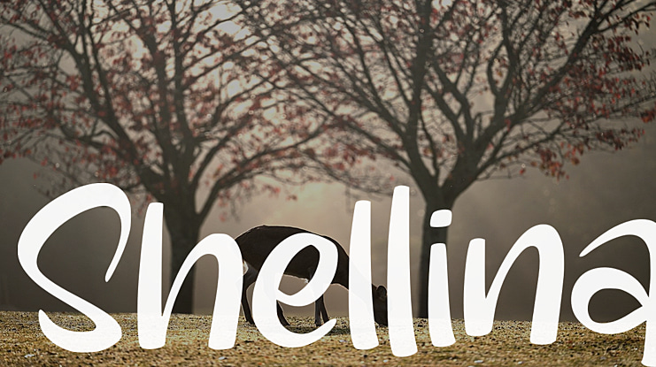 Shellina Font Family