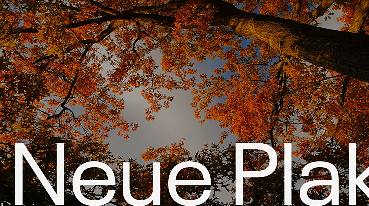 Neue Plak Font Family