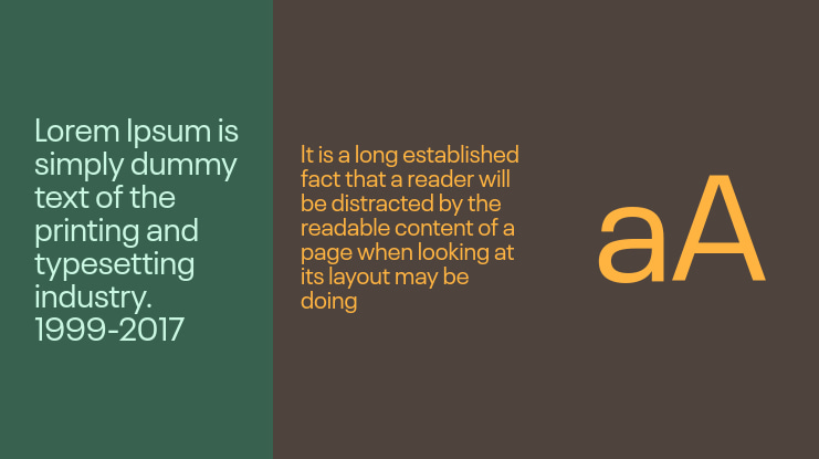 Neue Plak Font Family