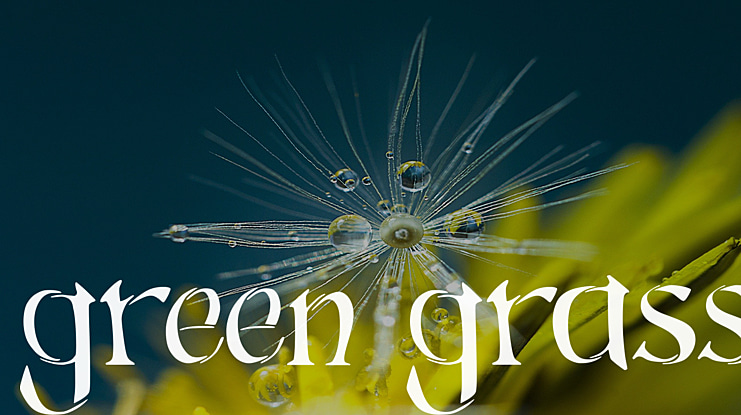 Green Grass Font