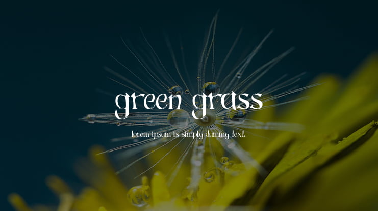 Green Grass Font