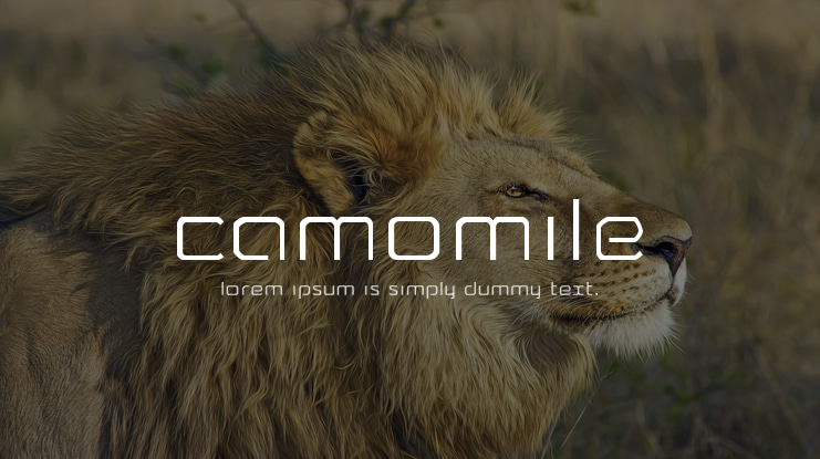 Camomile Font Family