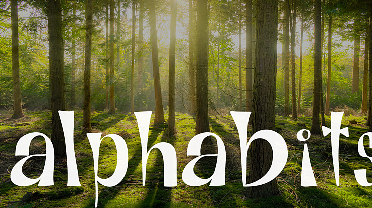 Alphabits Font Family