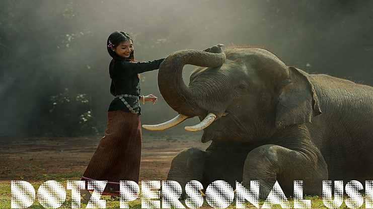 DOTZ PERSONAL USE Font