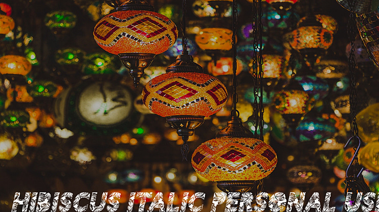 HIBISCUS  PERSONAL USE Font