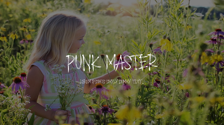 PUNK MASTER Font