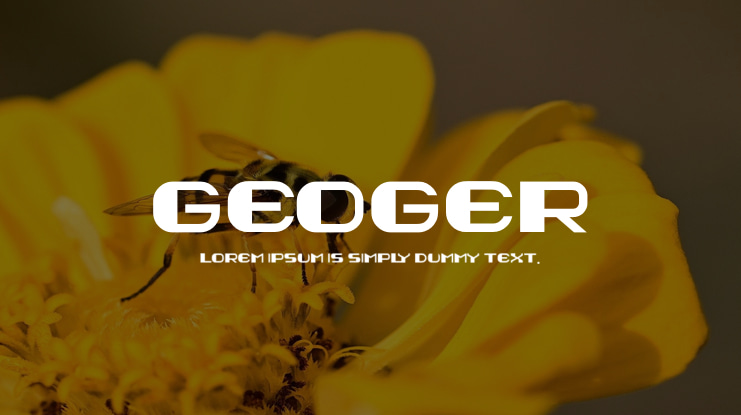geoger Font Family