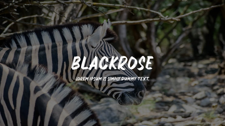 BlackrosE Font