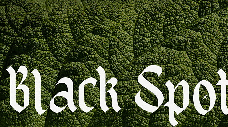 Black Spot Font