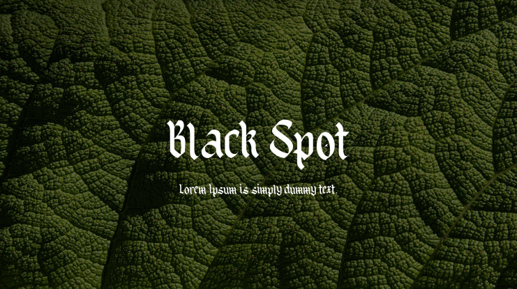 Black Spot Font
