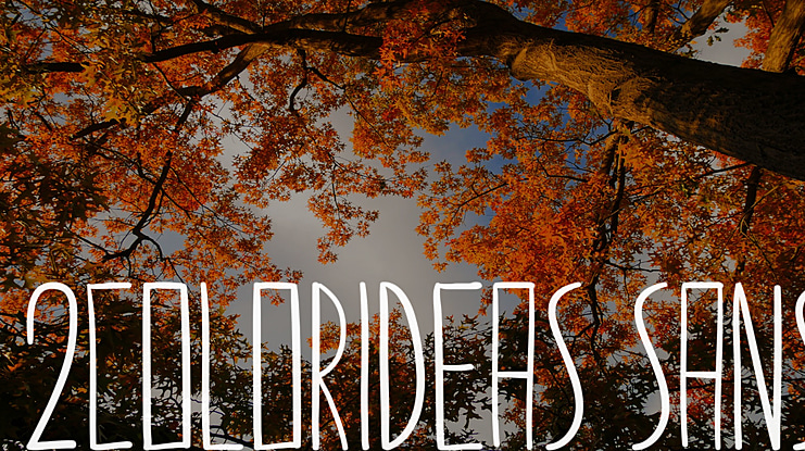 2colorideas sans Font
