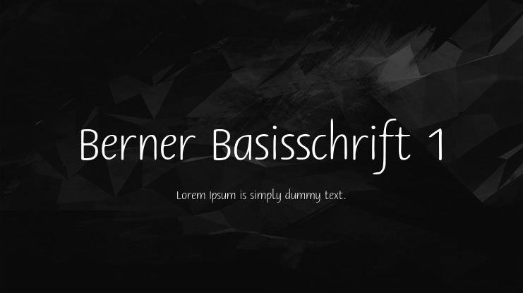 Berner Basisschrift 1 Font Family