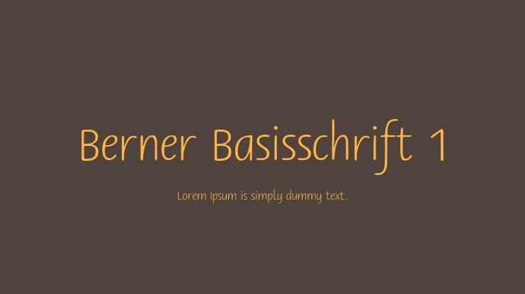 Berner Basisschrift 1 Font Family