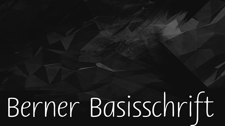 Berner Basisschrift 1 Font Family
