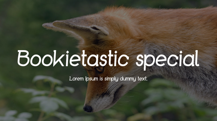 Bookietastic special Font Family