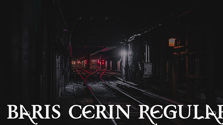 Baris Cerin Font