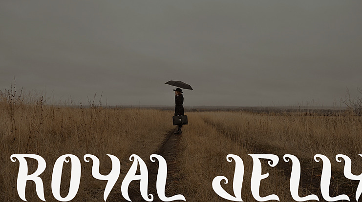 ROYAL JELLY Font Family