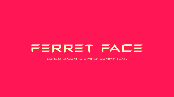 Ferret Face Font Family