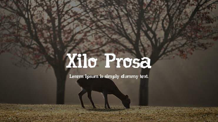 Xilo Prosa Font