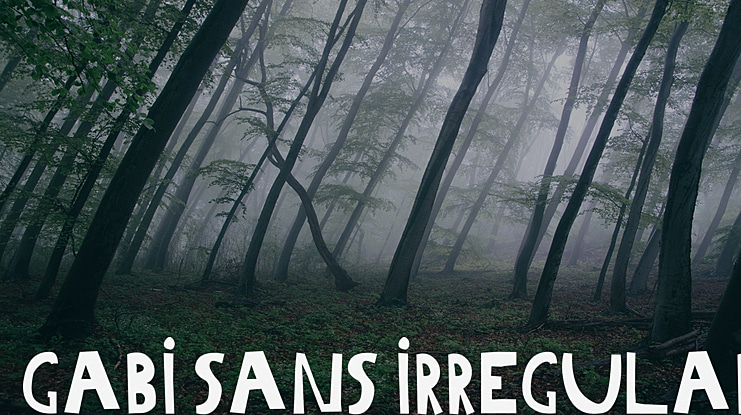 Gabi Sans Irregular Font