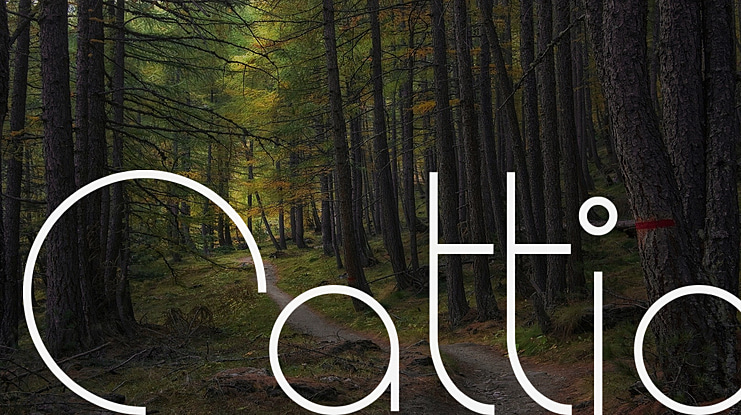 Cattia Font