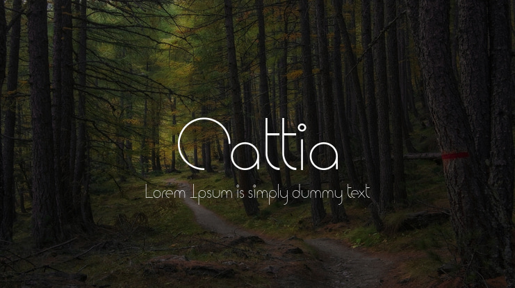 Cattia Font